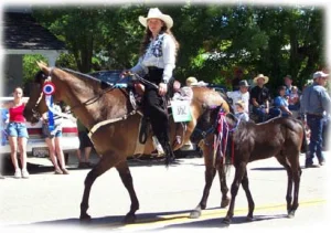 horse rescue