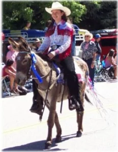 horse rescue