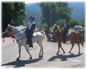 horse rescue