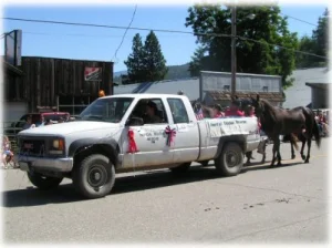 horse rescue