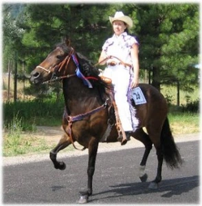 horse rescue