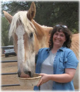 horse rescue