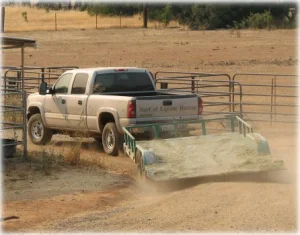 horse rescue