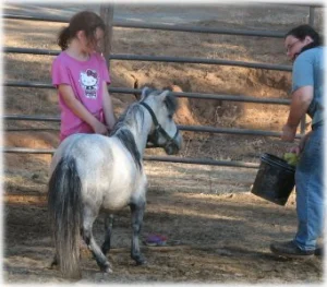 horse rescue