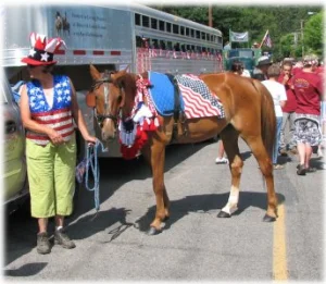 horse rescue