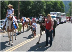 horse rescue