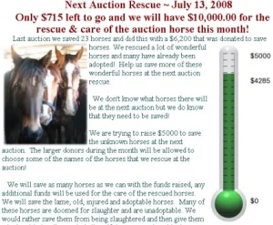 horse rescue