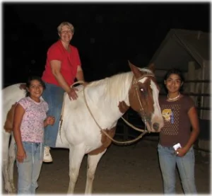 horse rescue