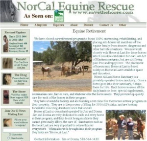 horse rescue