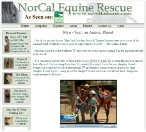 horse rescue