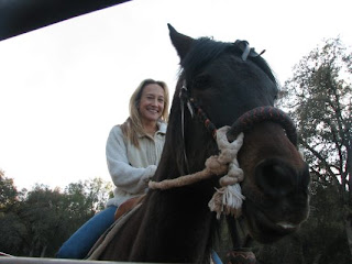horse rescue
