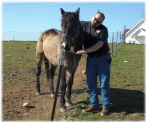 horse rescue