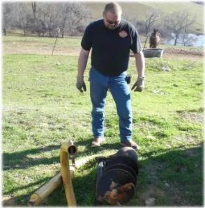 horse rescue