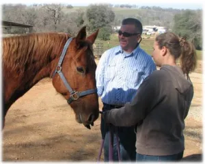 horse rescue