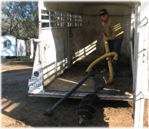 horse rescue