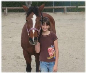 horse rescue