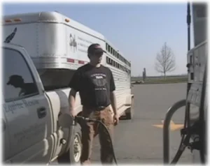 horse rescue