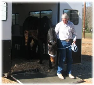 horse rescue