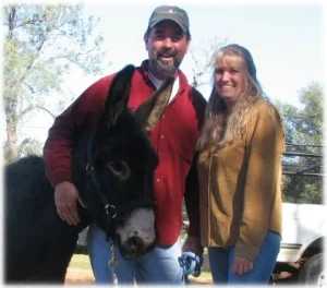 horse rescue