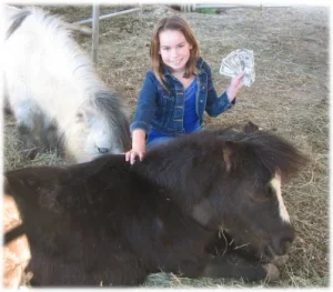 horse rescue