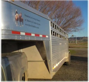 horse rescue