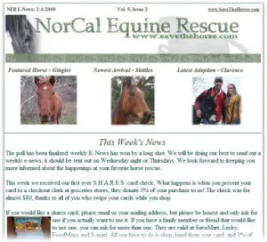 horse rescue