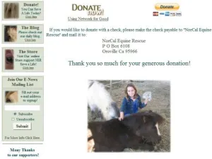 horse rescue