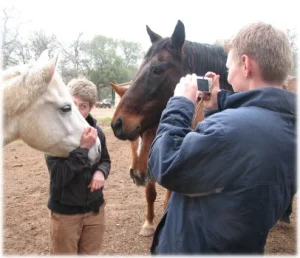 horse rescue