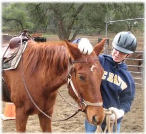 horse rescue