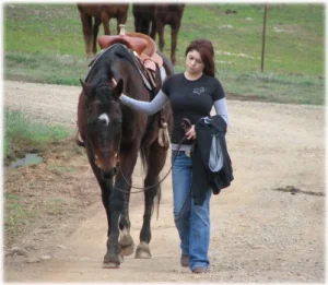 horse rescue