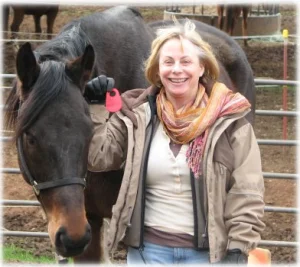 horse rescue