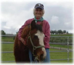 horse rescue