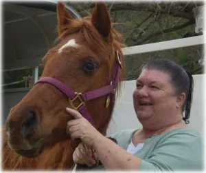 horse rescue