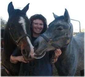 horse rescue