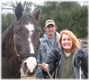 horse rescue