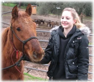 horse rescue