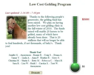 horse rescue