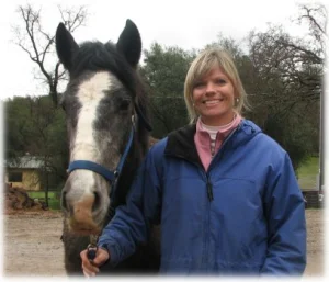 horse rescue