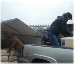 horse rescue