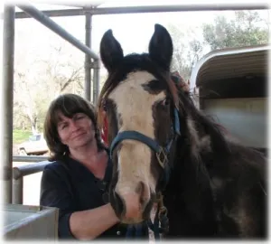 horse rescue
