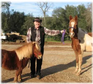 horse rescue