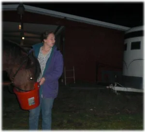 horse rescue