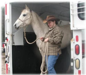 horse rescue