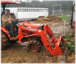 horse rescue