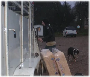 horse rescue
