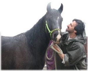 horse rescue