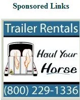horse rescue
