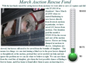 horse rescue