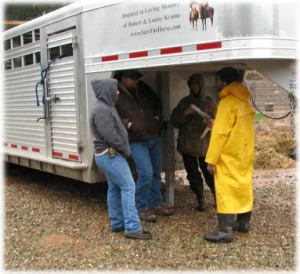 horse shelter