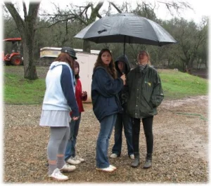 horse shelter